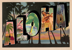 oyeah,marion rousseau,pop market,carte promotionnelle,card,hawaii,palmtree,flamingo,aloha,tropical,pineapple,ananas