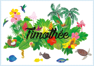 Faire-part de naissance dessiné à Paris, avec faune et flore de la Martinique : poissons, colibri et fruits