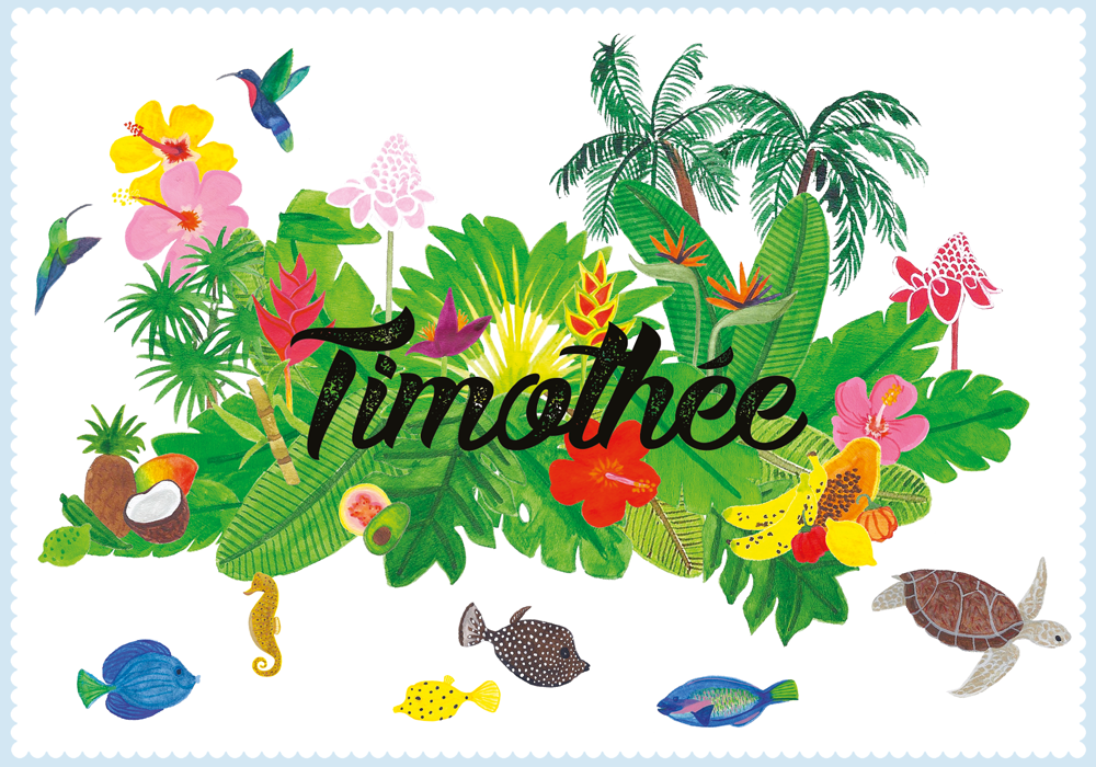 Faire-part de naissance dessiné à Paris, avec faune et flore de la Martinique : poissons, colibri et fruits