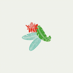 Carte de voeux 2023 gif par Oyeah Studio avec éléments décoratifs issus des motifs