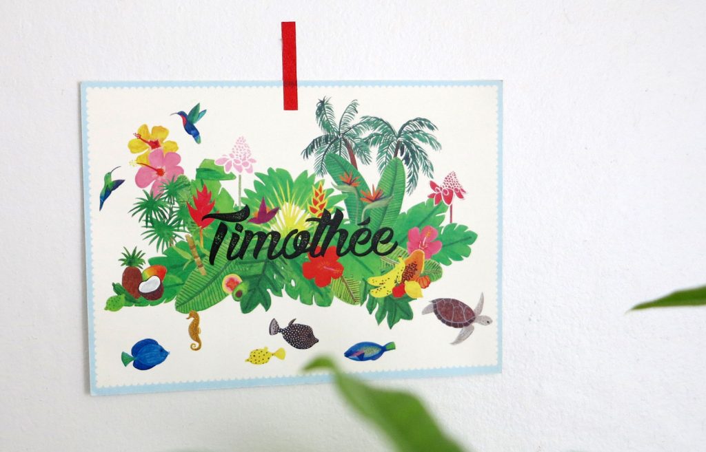 Faire-part de naissance dessiné à Paris, avec faune et flore de la Martinique : poissons, colibri et fruits